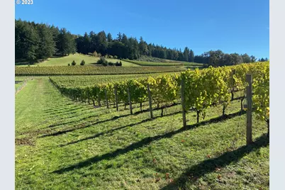 7820 SE Amity Rd, Amity, OR 97101 - Photo 6