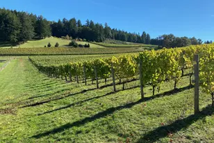 7820 SE Amity Rd, Amity, OR 97101 - Photo 6