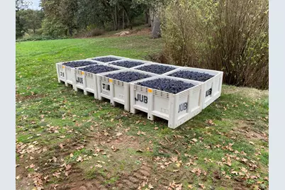 7820 SE Amity Rd, Amity, OR 97101 - Photo 12