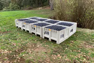 7820 SE Amity Rd, Amity, OR 97101 - Photo 12