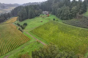 7820 SE Amity Rd, Amity, OR 97101 - Photo 1