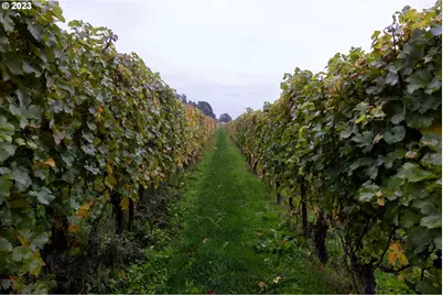 7820 SE Amity Rd, Amity, OR 97101 - Photo 34