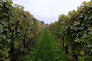 7820 SE Amity Rd, Amity, OR 97101 - Photo 34