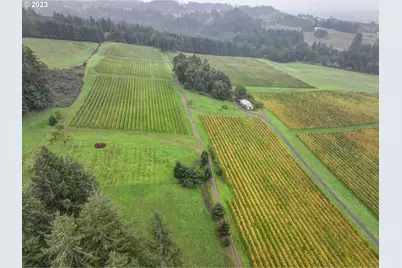 7820 SE Amity Rd, Amity, OR 97101 - Photo 46