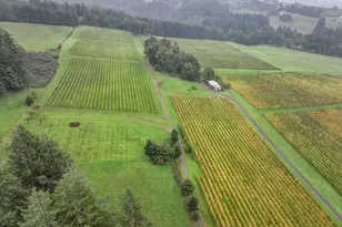 7820 SE Amity Rd, Amity, OR 97101 - Photo 46