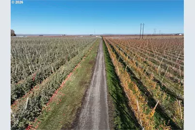 4665 Sheffield Rd, Mesa, WA 99343 - Photo 2