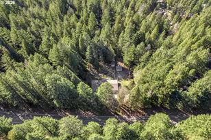91638 Horse Creek Rd, McKenzie Bridge, OR 97413 - Photo 40