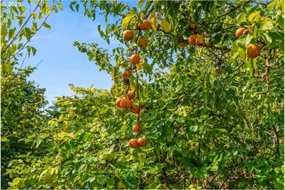 2915 NE Fremont Dr, Portland, OR 97220 - Photo 20