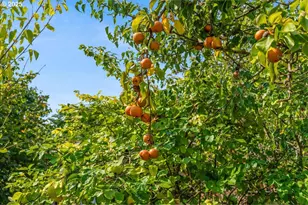 2915 NE Fremont Dr, Portland, OR 97220 - Photo 20