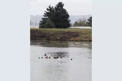 2056 S River Rd, Kelso, WA 98626 - Photo 12