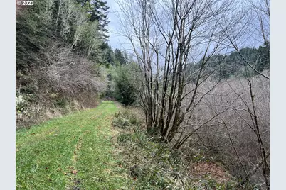 93810 China Mountain Rd, Port Orford, OR 97465 - Photo 28
