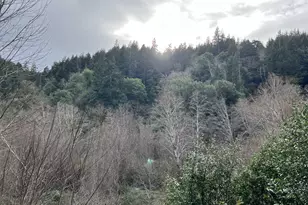 93810 China Mountain Rd, Port Orford, OR 97465 - Photo 30