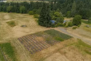 37625 Sunset Ln, Brownsville, OR 97327 - Photo 44