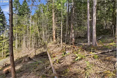 0 NW Green Mountain Rd. #1, Banks, OR 97106 - Photo 26
