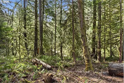 0 NW Green Mountain Rd. #1, Banks, OR 97106 - Photo 14