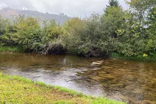 18156 Hwy 36, Blachly, OR 97412 - Photo 42