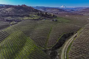 3699 Skyline Rd, The Dalles, OR 97058 - Photo 10