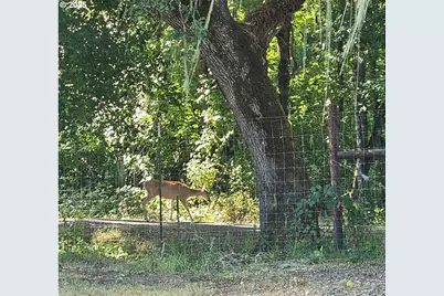 524 Azalea Dr, Elkton, OR 97436 - Photo 46