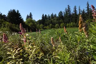 19130 SW 51st Ave, Tualatin, OR 97062 - Photo 40