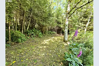 26665 Sebastian Ln, Gold Beach, OR 97444 - Photo 12