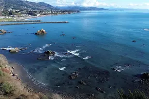 438 Buena Vista Loop, Brookings, OR 97415 - Photo 6