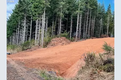 Pellham Hill Rd, Rainier, OR 97048 - Photo 1