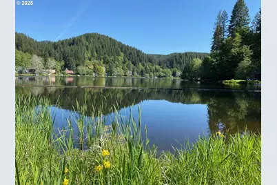 71501 Fishhawk Rd, Birkenfeld, OR 97016 - Photo 1