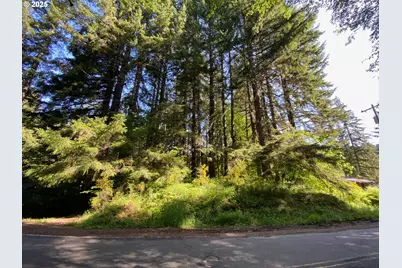 71501 Fishhawk Rd, Birkenfeld, OR 97016 - Photo 6