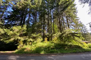 71501 Fishhawk Rd, Birkenfeld, OR 97016 - Photo 6