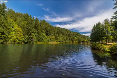 71501 Fishhawk Rd, Birkenfeld, OR 97016 - Photo 4