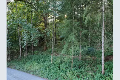 399th, Amboy, WA 98601 - Photo 10