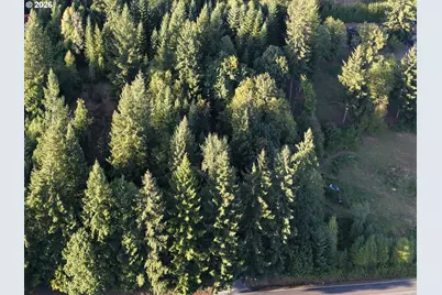 399th, Amboy, WA 98601 - Photo 24