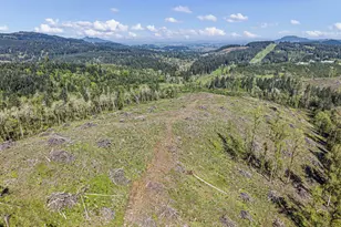 29875 Sodaville Mountain Home Rd, Lebanon, OR 97355 - Photo 46