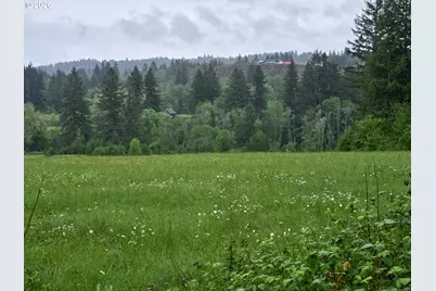 00 NE 389th St, Amboy, WA 98601 - Photo 14