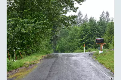 00 NE 389th St, Amboy, WA 98601 - Photo 12