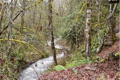 39000 NW Shermans Mill Rd, North Plains, OR 97133 - Photo 32