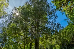 55593 Glen Aiken Creek Rd, Coquille, OR 97423 - Photo 8