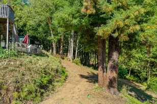 55593 Glen Aiken Creek Rd, Coquille, OR 97423 - Photo 44