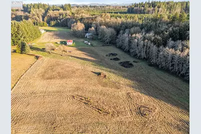 Collins Rd, Toledo, WA 98591 - Photo 6