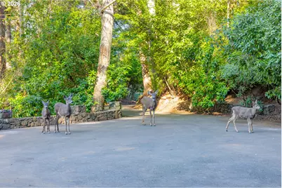 94442 Carlson Heights Ln, North Bend, OR 97459 - Photo 42