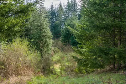 93549 Patterson Ln, Coos Bay, OR 97420 - Photo 2