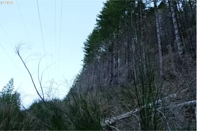 0 Nf-2212, Gates, OR 97346 - Photo 2