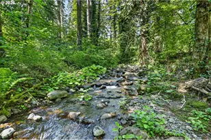 112 Carson Creek Rd, Carson, WA 98610 - Photo 48