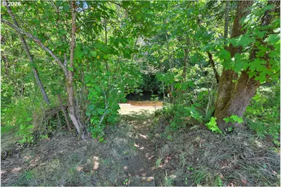 80845 Lost Creek Rd, Dexter, OR 97431 - Photo 28