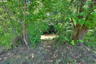 80845 Lost Creek Rd, Dexter, OR 97431 - Photo 28