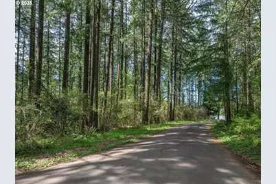 18675 SW Forest Park Rd, Hillsboro, OR 97123 - Photo 4