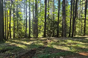 18675 SW Forest Park Rd, Hillsboro, OR 97123 - Photo 1