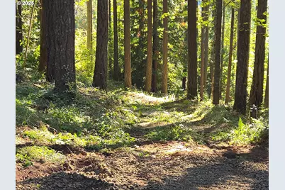 18675 SW Forest Park Rd, Hillsboro, OR 97123 - Photo 6