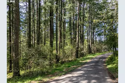 18675 SW Forest Park Rd, Hillsboro, OR 97123 - Photo 16