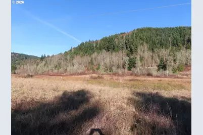 Larson Rd, Mossyrock, WA 98564 - Photo 12